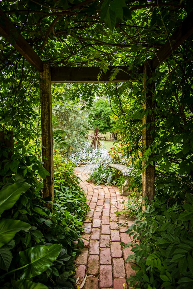 Allée de jardin entretenue